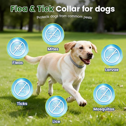 KOOSA Flea and Tick Collar for Dogs, 4 Packs Flea Collar for Dogs with Natural Essential Oils, Waterproof & Adjustable Flea and Tick Prevention Collar for Small Medium Large Dogs & Puppies, Grey