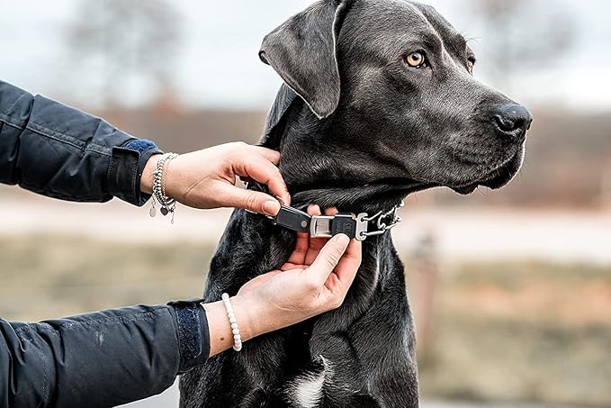 Herm Sprenger Stainless Steel Prong Dog Collar with Centered ClicLock Buckle and Assembly Chain Quick Release Training Pinch Collar for Large and X-Large Dogs Made in Germany