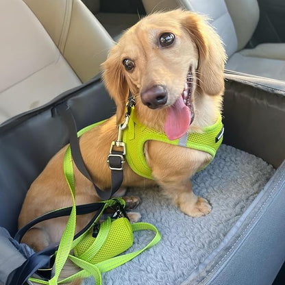 Best Pet Supplies Voyager Step-in Air All Weather Mesh Harness and Reflective Dog 5ft Leash Combo with Neoprene Handle, for Small, Medium and Large Breed Puppies - Set (Lime Green), Medium