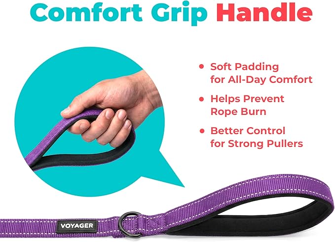 Best Pet Supplies Voyager Reflective Dog Leash or Collar with Neoprene Handle, for Small, Medium, and Large Breed Puppies, Cute and Heavy Duty for Walking, Running and Training - Purple (Leash), M