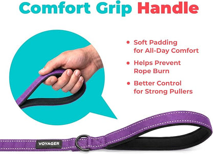 Best Pet Supplies Voyager Reflective Dog Leash or Collar with Neoprene Handle, for Small, Medium, and Large Breed Puppies, Cute and Heavy Duty for Walking, Running and Training - Purple (Leash), M