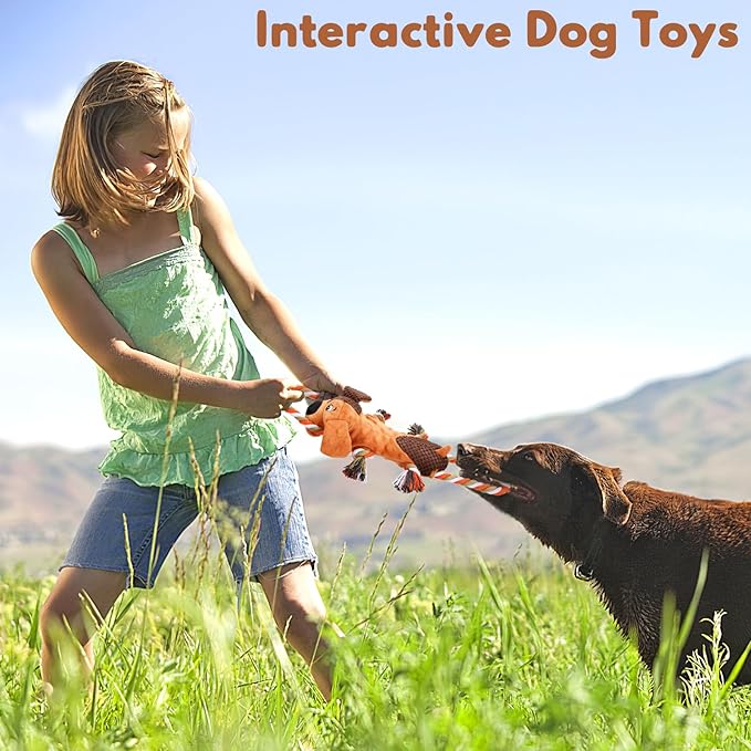 Letsmeet Squeaky Dog Toys, Tug of War Dog Toy for Large Dogs, Plush Puppy Toys with Pull Rope, Interactive Dog Toys for Small, Middle, and Big Dogs