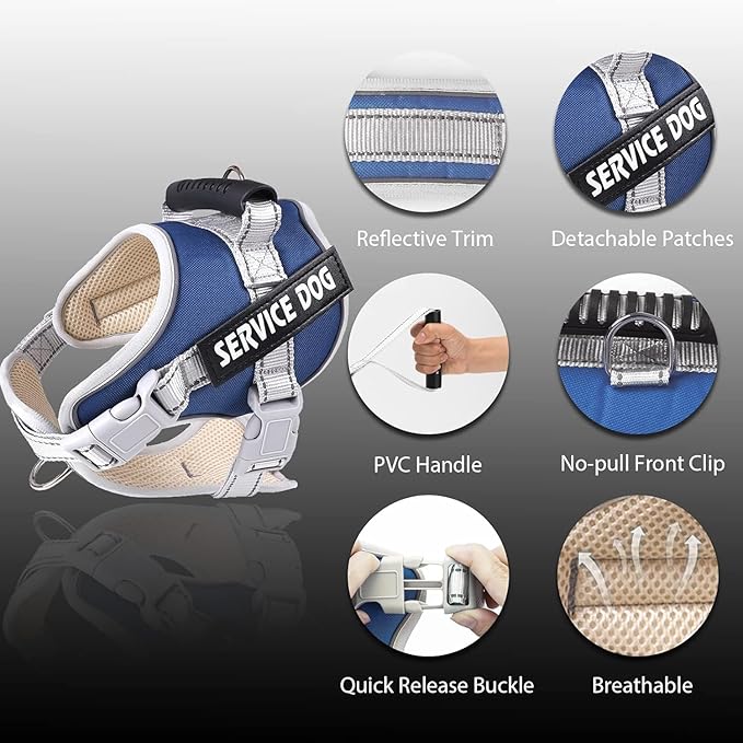 Moonpet Upgraded Personalized Custom No Pull Tactical Dog Harness Leash Set with Name and Phone Number, Heavy Duty Pet Dog Vest Harness for Training and Walking (XS-XXL, 9 Colorful)