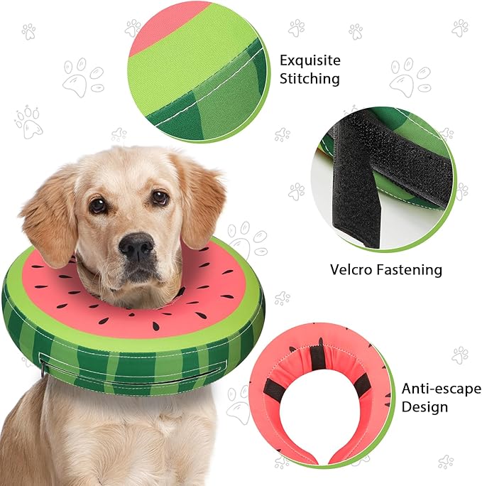 MIDOG Soft Inflatable Dog Cone, Donut E-Collar Alternative for After Surgery, Prevents Licking, Allowing Normal Eating & Vision, Comfortable Recovery Collar for Small Medium Large Dogs & Cats, Red-M+