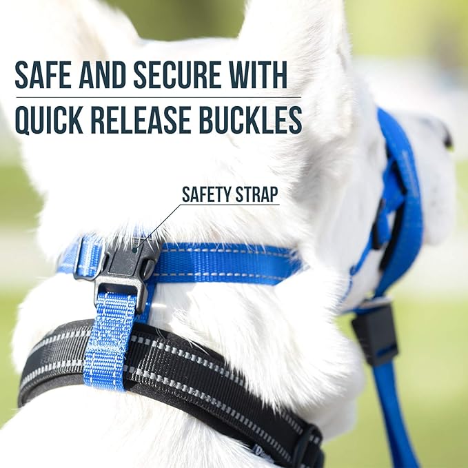 GoodBoy Dog Head Halter with Safety Strap - Stops Heavy Pulling On The Leash - Padded Headcollar for Small Medium and Large Dog Sizes - Head Collar Training Guide Included (Size 2, Blue Nylon)