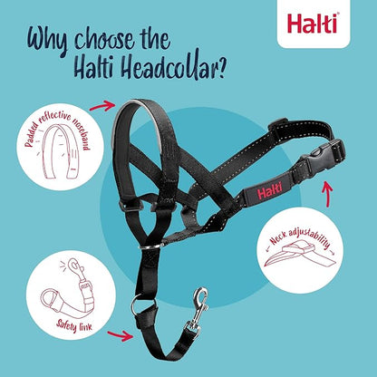 Halti Headcollar Size 5, Black & Halti Training Leash Size Large, Black Combination Pack - Stop Your Dog Pulling on the Leash. Adjustable, Lightweight with Padded Nose Band. Suitable for Large Dogs