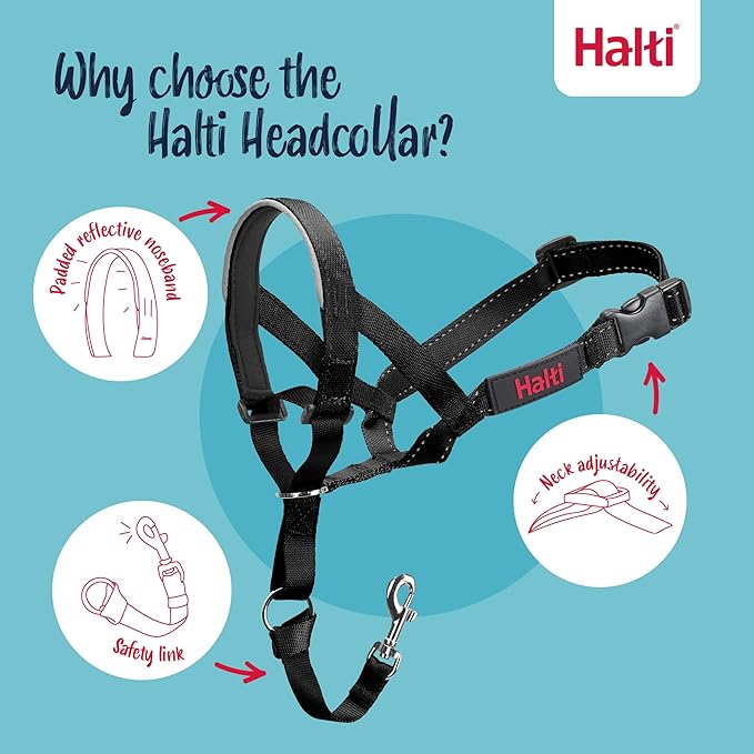 Halti Headcollar - Stop Your Dog Pulling on the Leash. Adjustable, Reflective and Lightweight, with Padded Nose Band. Dog Training Anti-Pull Collar for Medium Dogs (Size 2, Black)