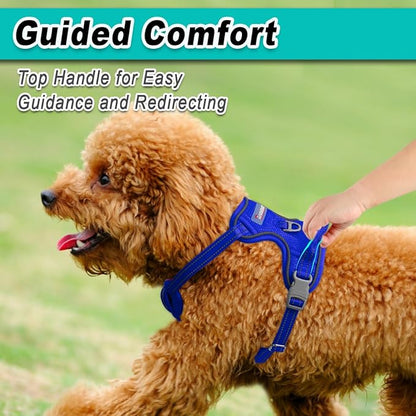 BARKBAY Dog Harness No Pull Mesh for Small Dogs - Adjustable, Reflective, Comfortable, No Choke, Heavy-Duty - Perfect for Outdoor Training, Walking, and Hiking-Strong&Durable- XS & Sapphire Blue Mesh