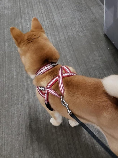 Blueberry Pet 4 Colors Soft & Comfy 3M Reflective Jacquard Padded Dog Harness, Chest Girth 20.5" - 26", Marsala Red, Medium, Adjustable Harnesses for Dogs