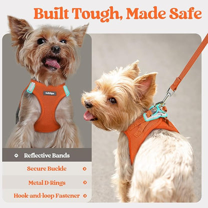 rabbitgoo Dog Harness Small Medium Sized and Leash Set, Step in Soft Light Puppy Vest, Breathable Mesh Pet Harness, Reflective for Safe Easy Walking, Orange XL