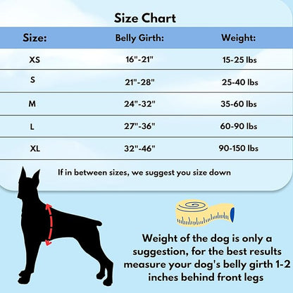 ShawnCo Dream Walk No-Pull Dog Harness- Adjustable, Comfortable, Easy to Use Pet Halter to Help Stop Pulling for Small, Medium and Large Dogs (ICY Lilac, S)