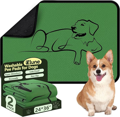 Washable Pee Pads for Dogs Reusable, 2 Pack 24"x36" Training Puppypads Absorbency Non-Slip & Leak-Proof for Pet Whelping Box Playpen Crate Sofa Bed Floors (Green)