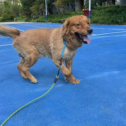 MayPaw Slip Collar Nylon Rope Adjustable Collar for Dog Training- No Pull Round Martingale Dog Collars for Small Medium Large Dogs (20" x 1/4", Blue)