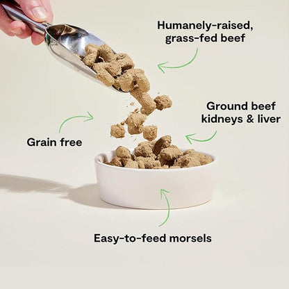 Open Farm, Freeze Dried Raw Dog Food, Morsels with 95% Meat, Organs & Bone, Organic Produce & Superfoods, Complete Meal or Freeze Dried Dog Food Topper, Grass-Fed Beef Recipe, 22oz Bag