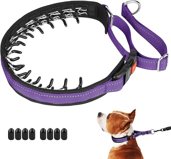 Mayerzon Martingale No Pull Collar for Medium Large Dogs, Patented Anti Pull Dog Collar with Buckle for Walking Training, with Reflective Stitching and Neoprene Padding, Adjustable(Purple, L)