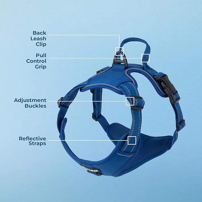 Voyager Dog Harness Dual Leash Attachment No-Pull Control Adjustable Soft but Strong Pet Harness for Medium and Large Dogs with 3M Reflective Technology, Royal Blue Lattice Nylon, S (Chest: 16-20")