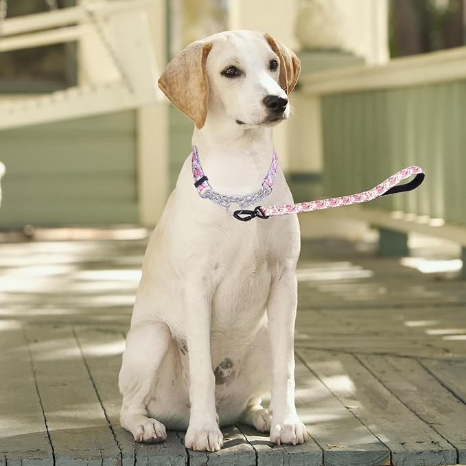 Martingale Dog Collar with Stainless Steel Chain - Limited Chain Cinch Training Collar for No Pull Training Dog - Flower Multicolor Cute Patterns - Premium No Slip Collar (M, Peony Set)