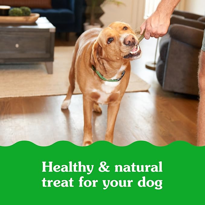 Greenies Smartbites Soft Dog Treats, Dog Immune Support Crunchy & Soft, Chicken Flavor, 28 oz. Pack