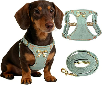 No Pull Dog Harness and Leash Set for Small Sized Dog Training Puppy Harnesses with Multifunction Dog Leash, Soft Adjustable Denim No Choke Escape Proof Pet Harness for Small and Medium Dog (Teal XXS)