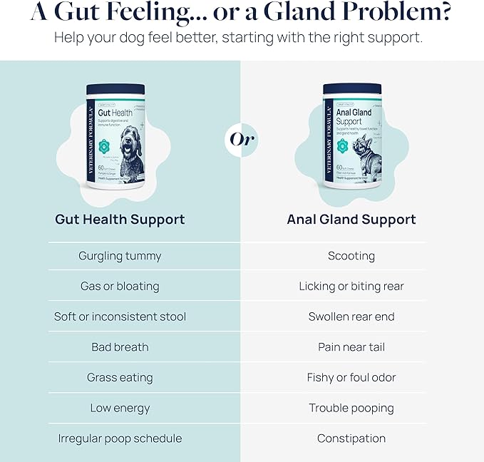 Veterinary Formula Anal Gland Support for Dogs – Vet-Formulated No Scoot Chews with Pumpkin, Ginger, Agave Inulin & Probiotics – Supports Scooting, Stool Quality & Digestive Health, 120 Soft Chews