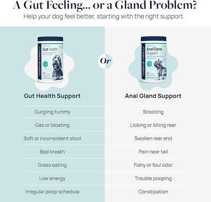 Veterinary Formula Anal Gland Support for Dogs – Vet-Formulated No Scoot Chews with Pumpkin, Ginger, Agave Inulin & Probiotics – Supports Scooting, Stool Quality & Digestive Health, 120 Soft Chews