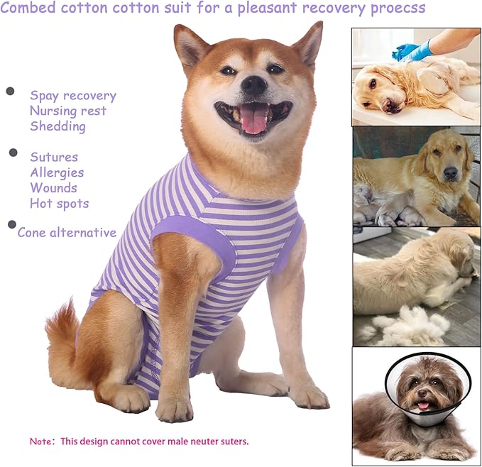 Dog Recovery Suit Female Spay Male Surgery Recovery Large Shirt,Soft Combed Cotton Puppy Suit,L Purple-White Striped