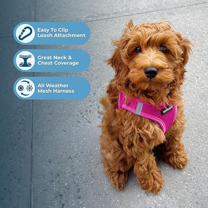 Best Pet Supplies Voyager Step-in Air Harness - All Weather Mesh, Reflective, No Pull Harness for Dogs, Cats - Secure with Hook & Loop Fastener, Buckle, Double D-Rings - Fuchsia, XXS