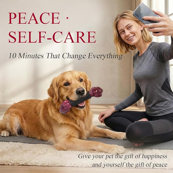 Apasiri 2-Pack Tough Dog Toys for Aggressive Chewers: Bacon Flavored Long Lasting Dog Bones for Large Dogs, Heavy Duty Nylon & Rubber Dog Chew Toys to Keep Them Busy, Medium & Large Breed, Black