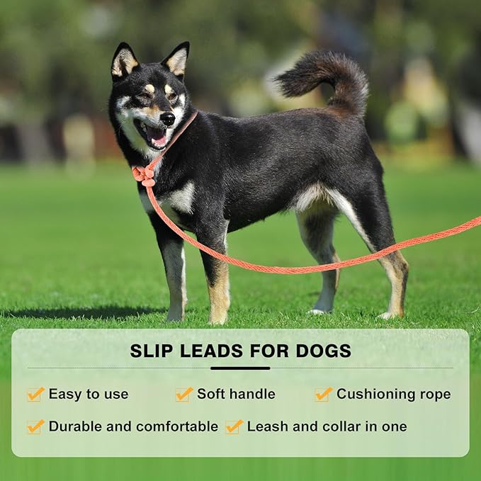 Lynxking Dog Leash Slip Lead Reflective Breathable Rope Comfortable Strong No Pull Slip On Pet Training Lead for Dogs (Pack of 2)