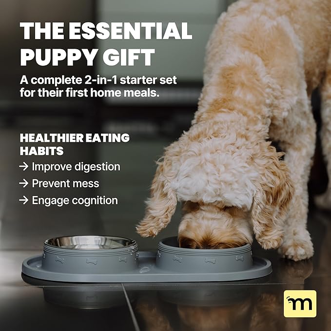 MalsiPree 2-in-1 Puppy Slow Feeder & Water Bowl Set - Puppy Adoption Gifts & Dog Birthday Treats Station - Silicone Feeding Mat with Stainless Steel Bowls - Accessories & Training Supplies - Gray