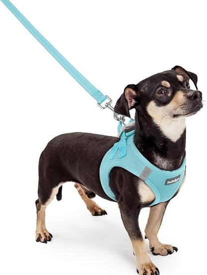 rabbitgoo Dog Harness Small Sized and Leash Set, Step in Soft Light Puppy Vest, Breathable Mesh Pet Harness, Reflective for Safe Easy Walking, Mint Blue XXXS