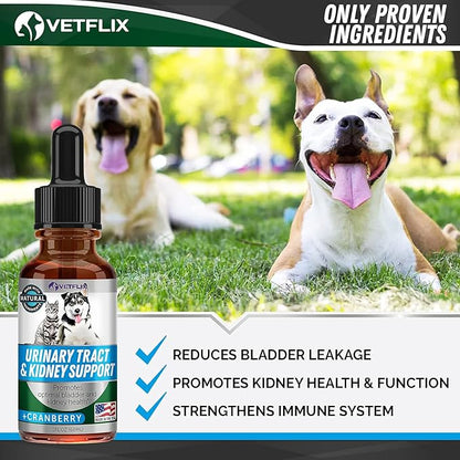 UTI and Kidney Support for Dogs, Cats, Puppies and Kittens – Natural Urinary Tract Supplement with Cranberry – Supports Bladder and Immune Health – Made in USA – 2 Fl Oz