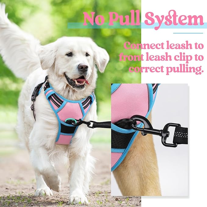 rabbitgoo Dog Harness No Pull with 2 Leash Clips, Adjustable Soft Padded, Reflective Oxford No Choke Pet Vest with Easy Control Handle for Large Dogs, Pink & Blue, XL