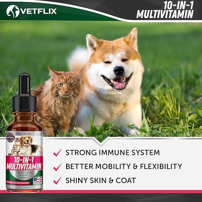 10 in 1 Pet Vitamins for Dogs, Cats, Puppies and Kittens - Made in USA - Glucosamine and Multivitamin Supplement - Joint, Immune and Skin Health Support - 2 Fl Oz