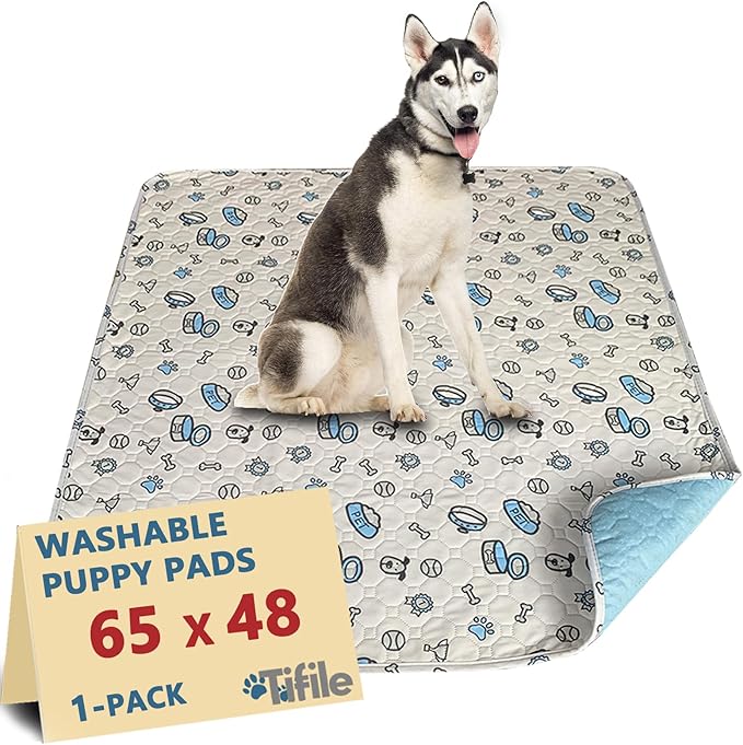 Washable Pee Pads for Dogs, 1 Pack Reusable Puppy Pad, Absorbent Whelping With Bone Print, Non-Slip Waterproof Pet Training for Couch, Crate, Potty Training - 65x48in