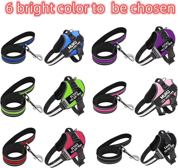 Moonpet Personalized No Pull Dog Harness Leash Set with Custom Name and Phone Number, Heavy Duty Pet Vest to Prevent Tugging, Pulling, or Choking, Training and Walking (XS-XXL, 9 Colorful)