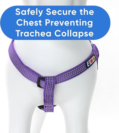 Pawtitas Reflective Step-in Dog Harness – Adjustable No-Pull Vest for Puppies to Seniors, Safe & Comfortable, XS Purple