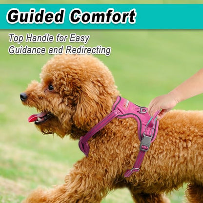 BARKBAY Dog Harness No Pull Mesh for Small Dogs - Adjustable, Reflective, Comfortable, No Choke, Heavy-Duty - Perfect for Outdoor Training, Walking, and Hiking - Strong & Durable - XS & Pink Mesh