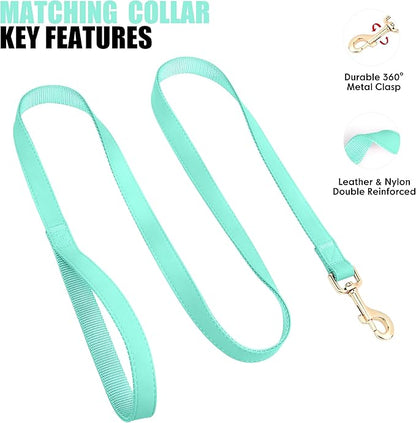 PET ARTIST Soft PU Leather Dog Collar and Leash Set, Bright & Stylish 5FT PU Leather Leash and Collar Set, Durable Pet Collars with Quick Release Metal Buckle for Large Dogs,Mint Green,L(16-27")