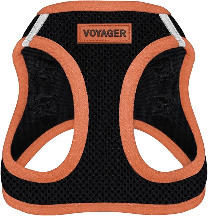 Best Pet Supplies - All Weather Mesh/Plush, Reflective, No Pull Harness for Small, Medium Dogs, Cats - Secure with Hook & Loop Fastener, Buckle, Double D-Rings - Black/Orange Trim, XS