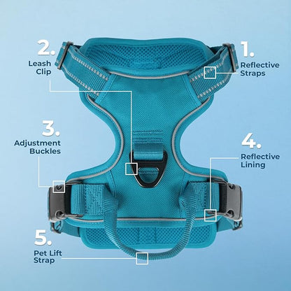 Voyager Dog Harness Dual Leash Attachment No-Pull Control Adjustable Soft but Strong Pet Harness for Medium and Large Dogs with 3M Reflective Technology, Turquoise Nylon, M (Chest: 20-25")