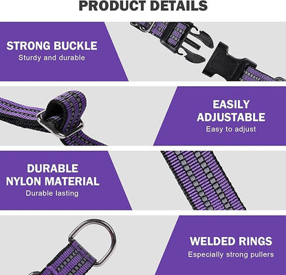 Hikiko Martingale Collar for Dogs Reflective Nylon Dog Collar with Quick Release Buckle Adjustable Training No Slip Dog Collar (Small, Purple)