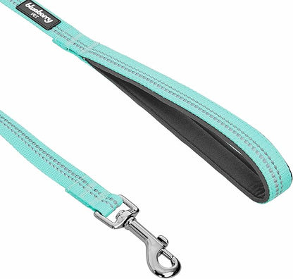 Blueberry Pet 3M Reflective Pastel Color Dog Leash with Soft & Comfortable Handle, 4 ft x 1", Mint Blue, Large, Leashes for Dogs