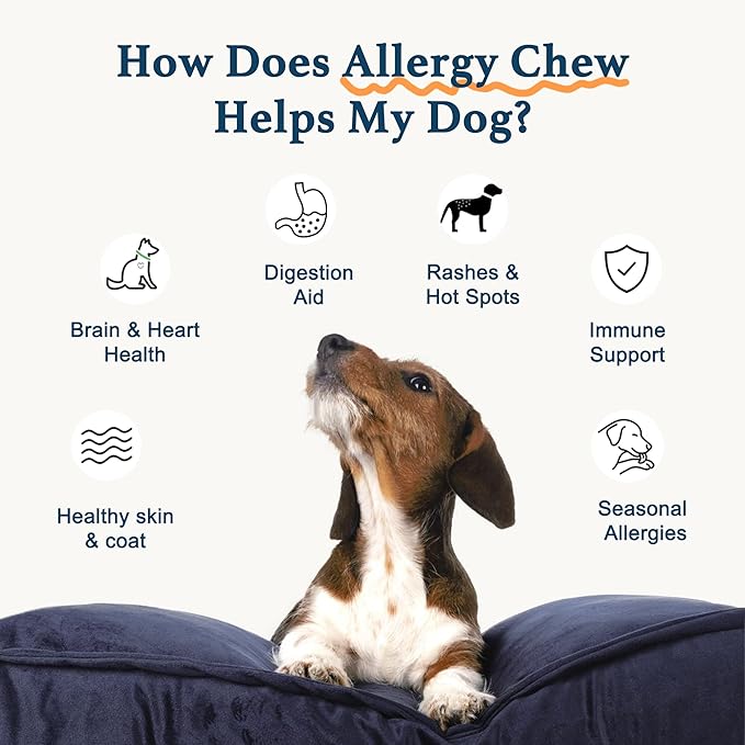 Dog Allergy Chews, Dog Probiotics for Itchy Skin Dog Allergy Relief Bites Skin and Coat Supplement Immune Support with Omega 3 Fish Oil Colostrum for Dog Seasonal Allergies Itchy Skin and Ear 120ct