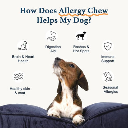 Dog Allergy Chews, Dog Probiotics for Itchy Skin Dog Allergy Relief Bites Skin and Coat Supplement Immune Support with Omega 3 Fish Oil Colostrum for Dog Seasonal Allergies Itchy Skin and Ear 120ct