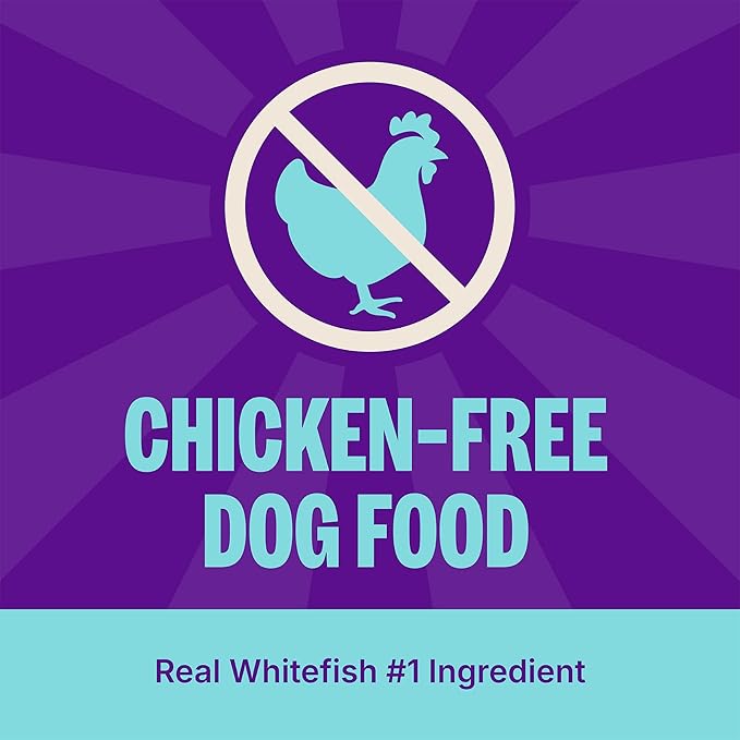Wellness Complete Health Dry Dog Food, Wholesome Grains, Natural, Whitefish & Sweet Potato Recipe, (15-Pound Bag)