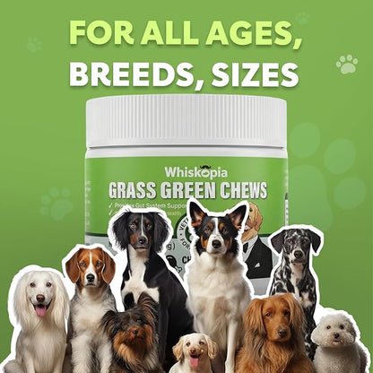 Grass Burn Spot Chews for Dogs, Dog Pee Lawn Spot Saver Caused by Dog Urine, Green Grass Chews with Gut Health Probiotics, DL-Methionine and Cranberry, Urine Neutralizer for Lawn - 120 Ct