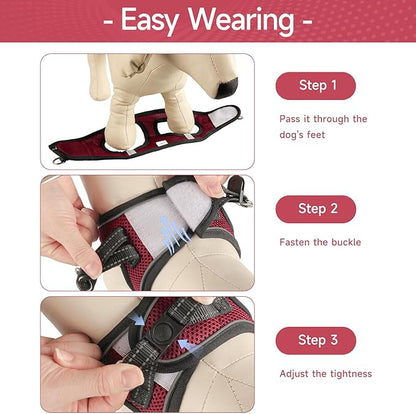 Dog Harness for Small Dogs and Leash Set, Honeycomb Grid, Reflective Lightweight Harness & Anti-Twist Pet Lead Multi Color, Size: XS-S-M. (XS, Deep Purple)