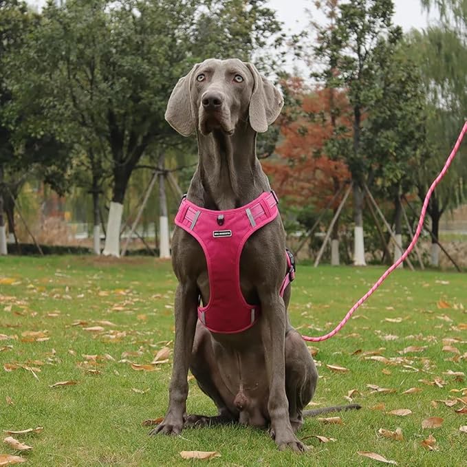 Dog Harness No Pull Adjustable Reflective,for Medium and Large Small Dog with Leash 59.06in (Fuscia, S)
