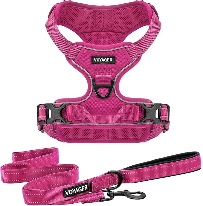 Voyager Dog Harness Dual Leash Attachment No-Pull Control Adjustable Soft but Strong Pet Harness for Medium and Large Dogs with 3M Reflective Technology, Leash Set Fuchsia Nylon, S (Chest: 16-20")